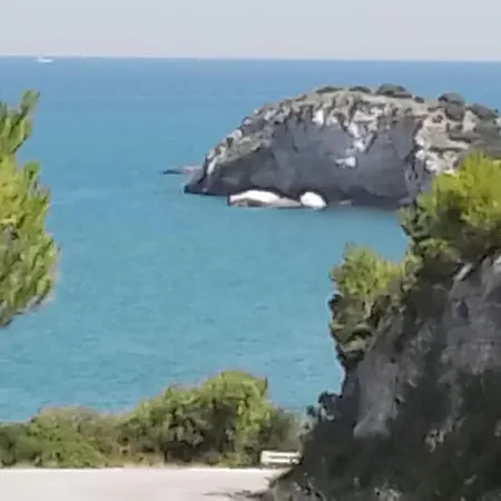 La Stella Sul Porto Appartamento